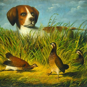 Pointer dog art print, English pointer painting, Antique dog painting, Pointing dog, Bird dog, Hunting dog, Grouse, Vintage dog portrait