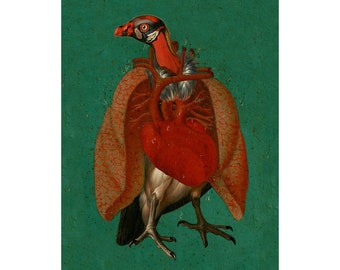 ホピ族のカチナの絵、カチナのアートプリント、プエブロインディアンの