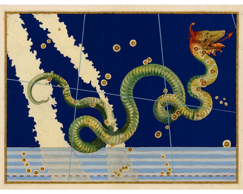 May include: An antique illustration of a sea serpent against a dark blue background. The serpent is green with yellow and brown details, and its head is red. The artwork includes white cloud-like shapes and yellow star-like figures, with blue lines crossing the image.