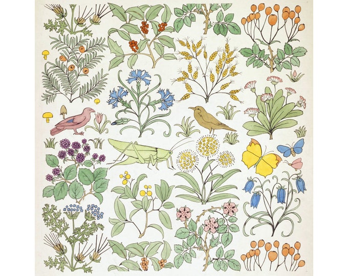 Vintage Nature Art Print Antique Floral Design Garden Wall Etsy