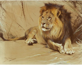 Male lion art print, Lion painting, Vintage wildlife art, Pastels drawing, African wild animal wall art, Safari, Savannah, Wilhelm Kunhert