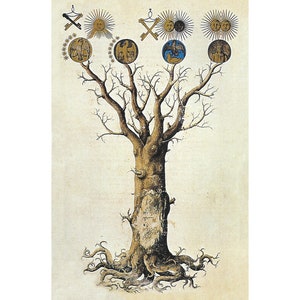 Philosophical Tree art print, Alchemical tree of knowledge, Medieval tree of life painting, Antique Mystical art, Gnostic art, Tree wall art