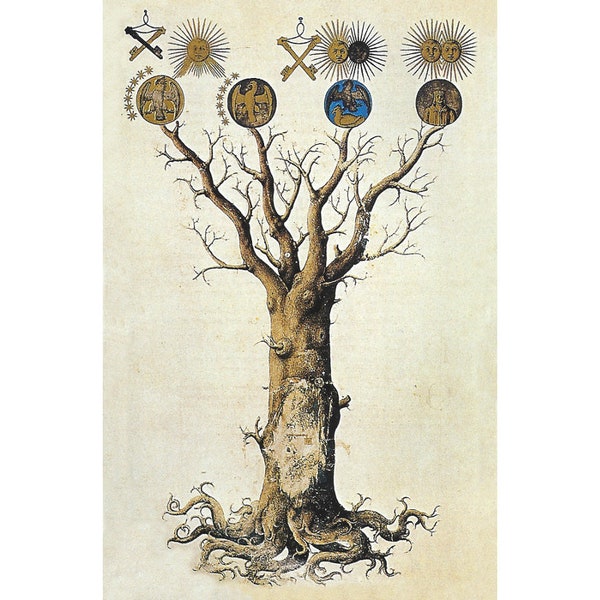 Philosophical Tree art print, Alchemical tree of knowledge, Medieval tree of life painting, Antique Mystical art, Gnostic art, Tree wall art
