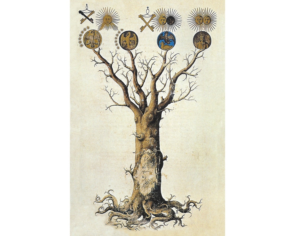Impresión de arte del árbol filosófico, árbol alquímico del conocimiento,  pintura medieval del árbol de la vida, arte místico antiguo, arte gnóstico,