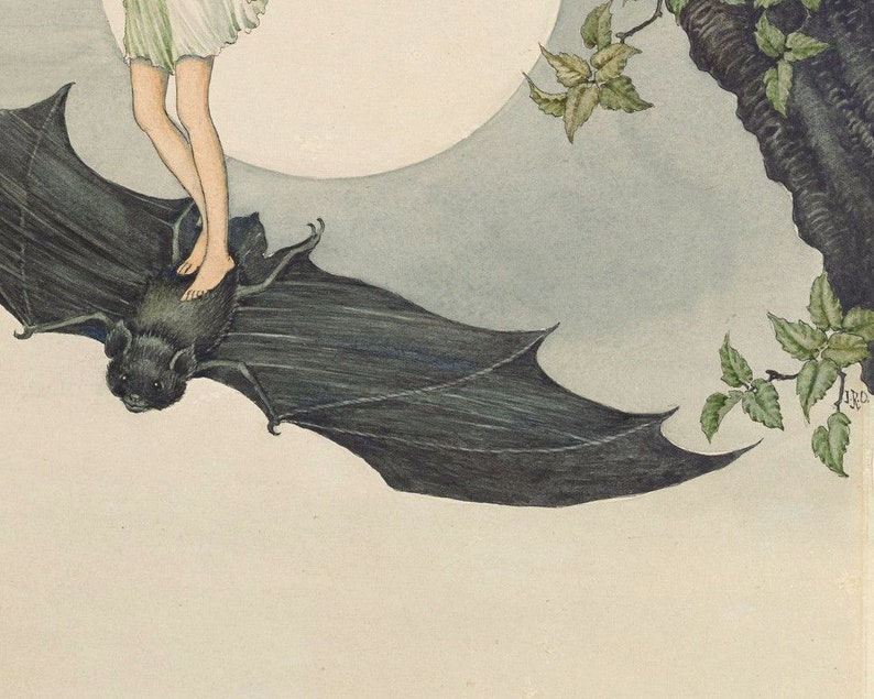 Witch Riding A Bat Vintage Fairy Riding a Bat Art Print, Ida Rentoul Outhwaite ...