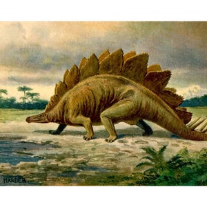 Puede incluir: Una pintura de acuarela de un dinosaurio Stegosaurus caminando por un sendero cerca de un cuerpo de agua. El dinosaurio es marrón con una barriga verde y tiene una fila de placas en la espalda. La pintura está firmada "HEINRICH HARDER".