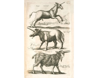 Mythical creatures art print, Unicorns art print, Animal wall art, Antique wall art, Antique art print, Fantasy wall art, Mythological art