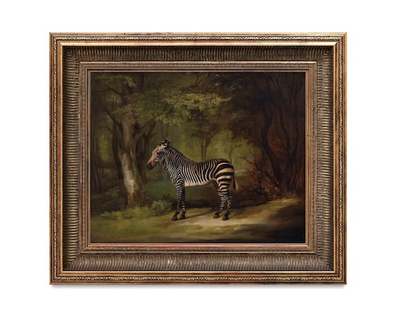Antique Zebra Oil Painting, George Stubbs, Zebra Art Print
