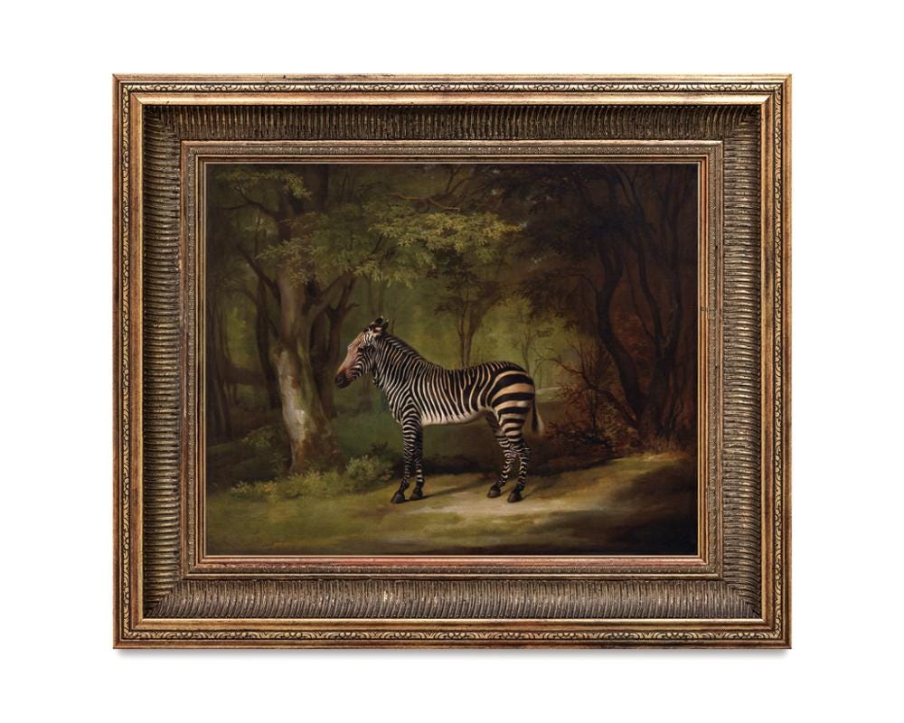 Antique Zebra Oil Painting, George Stubbs, Zebra Art Print