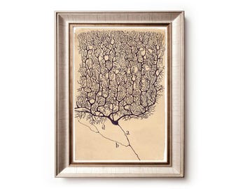 Neuron drawing by Santiago Ramón y Cajal, Antique brain anatomy art print, Vintage anatomical illustration, Neuroscience art, Biology art