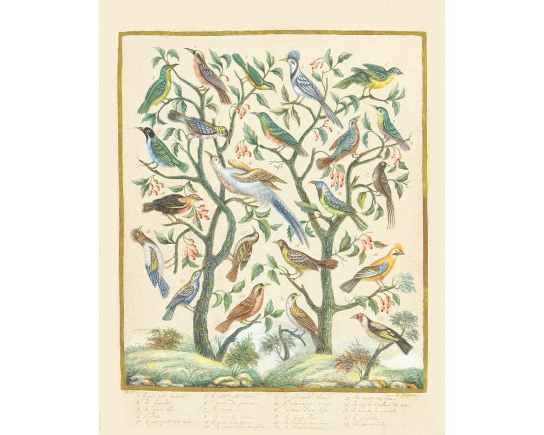 Vintage French Birds Art Print, Songbirds Painting, Tree of Life Wall ...
