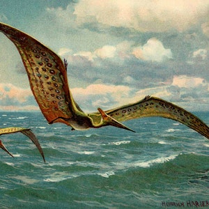 Pteranodon art print, Vintage dinosaur painting, Antique dinosaur wall art, Pterosaur, Pterodactyl, Paleoart, Paleo illustration, Extinct