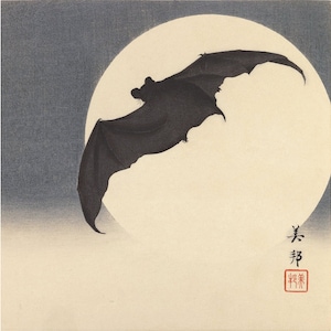 Japanese Bat painting, Full moon art print, Biho Takashi, Antique woodblock, Vintage Asian wall art, Gothic art, Dark art, Night, Flying bat