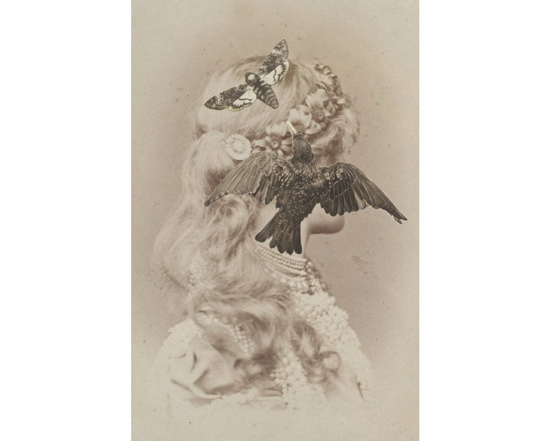 Death's Head, Memento Mori Art Print, Antique Victorian Portrait ...