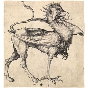 Antique Griffin art print, Griffon, Gryphon, Mythical creature, Medieval art, Middle ages, Mythology, Beast, Fantasy art, Monster, Chimera