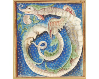 Medieval Moon Dragon art print, Cosmic Ouroboros painting, Antique celestial wall art, Crescent moon face, Stars, Illuminated manuscript