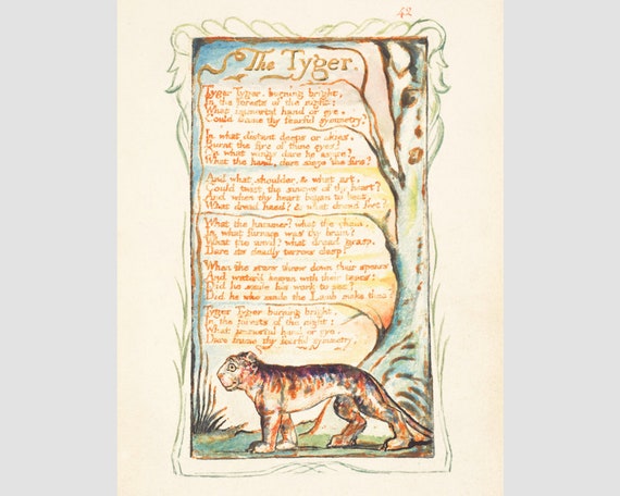 The Tyger, William Blake Art Print, Tiger Poem, Songs of Innocence