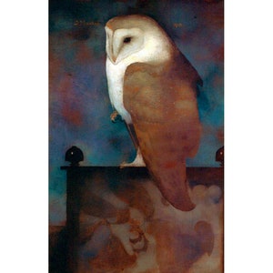 Barn owl painting, Jan Mankes art print, Vintage animal wall art, Antique bird portrait, Mystical, Magical, Night, Spirit animal, Wildlife