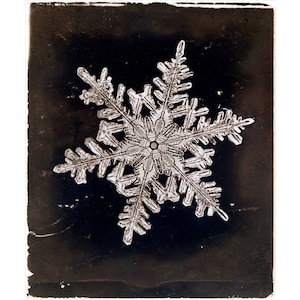 Snowflake art print, Winter wall art, Nature art, Snow, Antique photography print, Wilson Alwyn Bentley, Natural science, Black and white