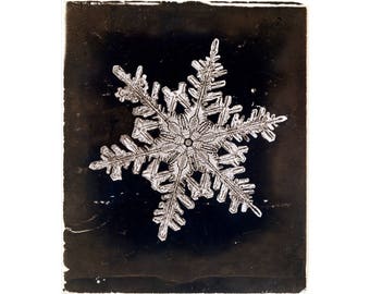 Snowflake art print, Winter wall art, Nature art, Snow, Antique photography print, Wilson Alwyn Bentley, Natural science, Black and white