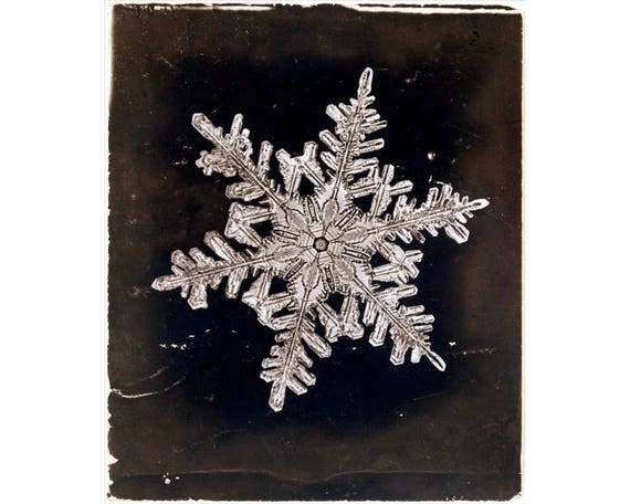 Snow Day | Art Print Snow Day | Art Print