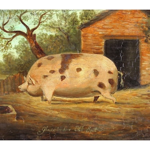 Folk art pig painting, Gloucester Old Spot, Antique farm animal wall art, Vintage farmhouse decor, British, English school, 19th century