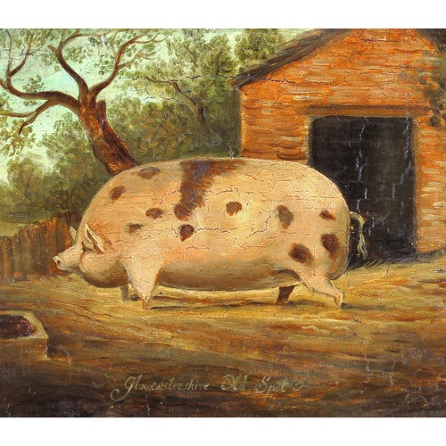 Folk Art Pig Painting Gloucester Old Spot Antique Farm - Etsy Folk Art Pig Painting Gloucester Old Spot Antique Farm - Etsy