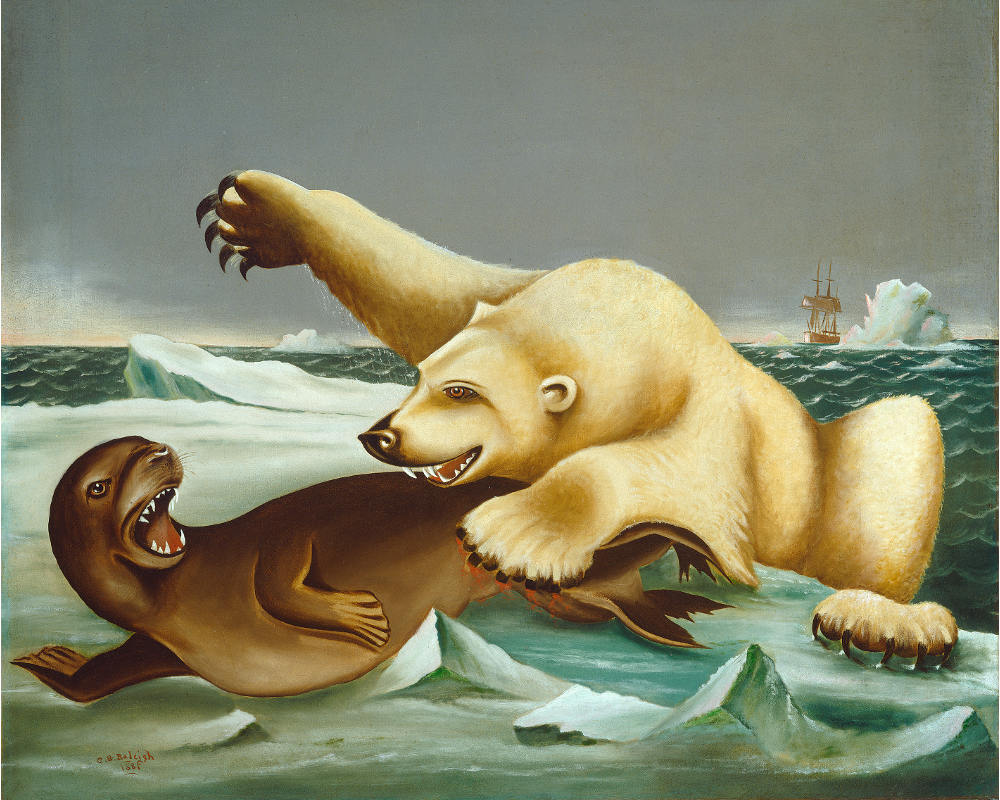 Seal and Polar Bear Art Print, Arctic Wildlife, Antique Animal