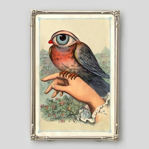 Strange Bird, Collage art print, Vintage eye, Victorian hand, Surreal animal wall art, Eyeball, Dada, Weird, Psychedelic, Magical creature
