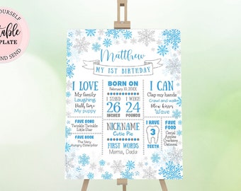 First Birthday Milestone Sign Boys, Winter Onederland Editable Milestone 1st Birthday Sign, Snowflakes Milestone Birthday Poster CEP027