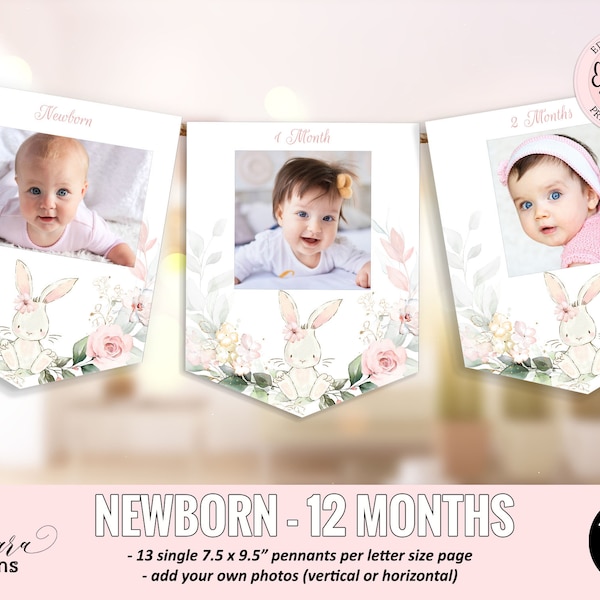 Editable Some Bunny 1st Birthday Photo Banner, Blush Pink Floral Photo Banner, Girl Rabbit Newborn 12 Months Picture Birthday Banner CEP077