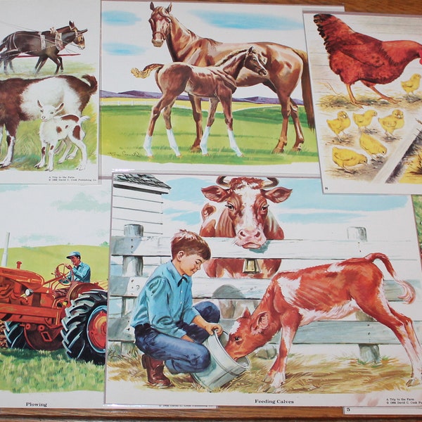 A Trip to the Farm by David C. Cook 1966 - Vintage Farm Art Prints of Chickens, Cow, Sheep, Tractor, Horse, Barn, Goat