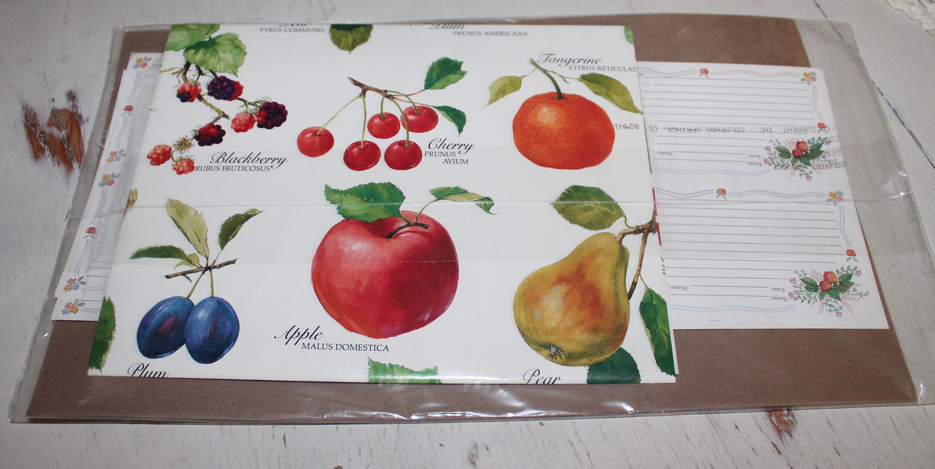 Wrapping Paper, Recipe Cards, Greeting Cards and Stickers by Current ...