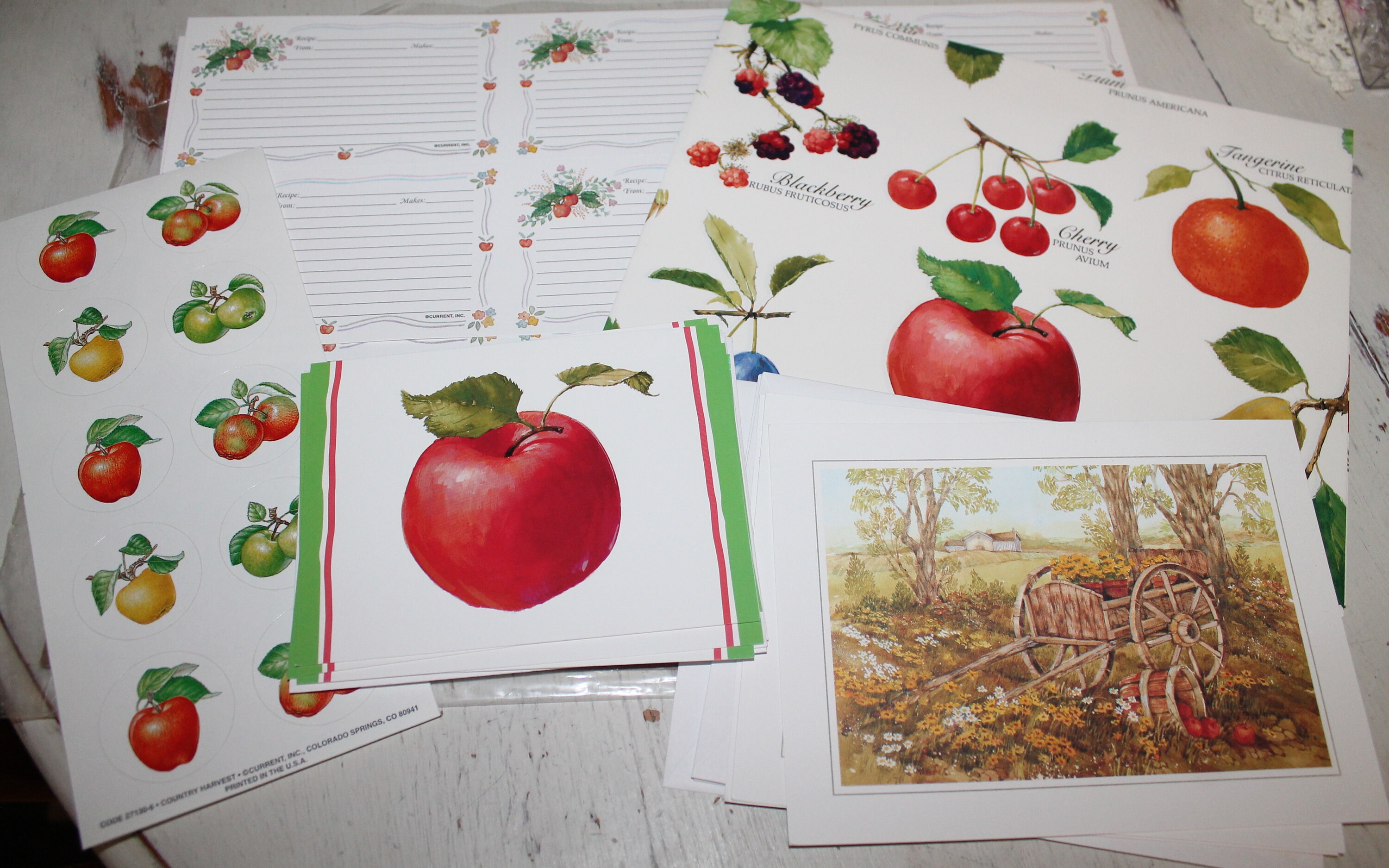 Wrapping Paper, Recipe Cards, Greeting Cards and Stickers by Current ...