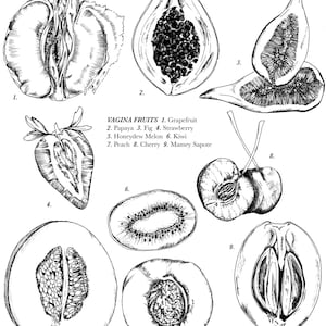 Vagina Früchte, Zeichnung, 8x10