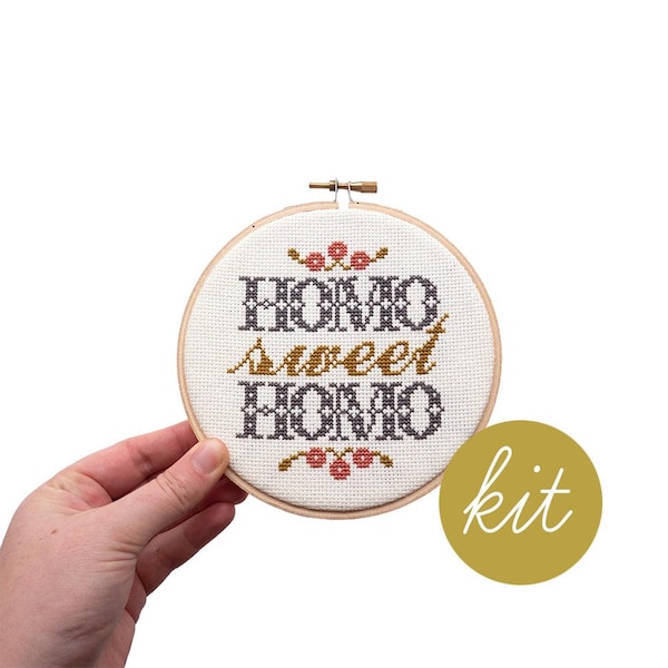Kit Homo Sweet Homo, kit de bricolage moderne au point de croix compté