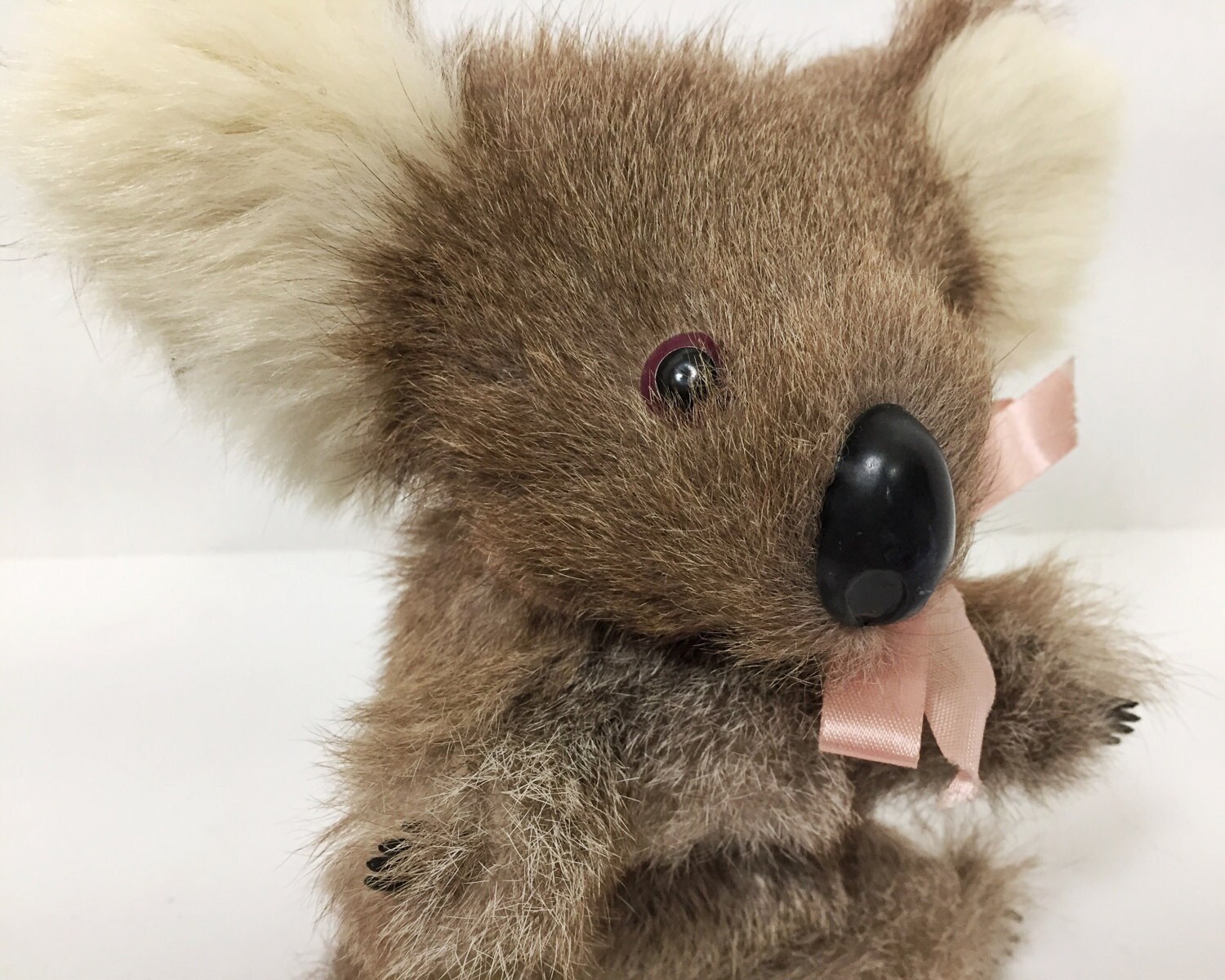 stuffed koala bear real fur