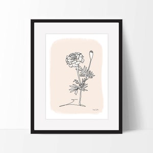 May include: A line drawing of a marigold flower with a bud on a peach background. The drawing is in black and white and has a simple, minimalist style.