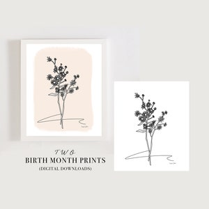 September Birth Flower, Aster, flower illustration, kids room art, neutral wall decor, download, August Birthday Gift, birth flower art
