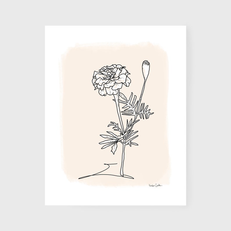 May include: Line art drawing of a marigold flower with a bud on a beige background. The artist's signature is in the bottom right corner.
