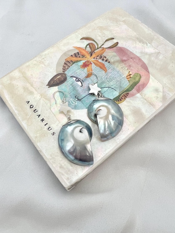 Nautilus shell star silver earrings