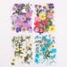 Natural Dried Flowers combination DIY Pressed Herbarium Flower Decorative Crafts filler Jewelry making Scrapbook Flower material package 