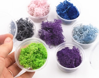 2-2.5grams Natural moss microlandschaft filler for glass globe silicone mold DIY jewelry making craft materia Resin casting filler