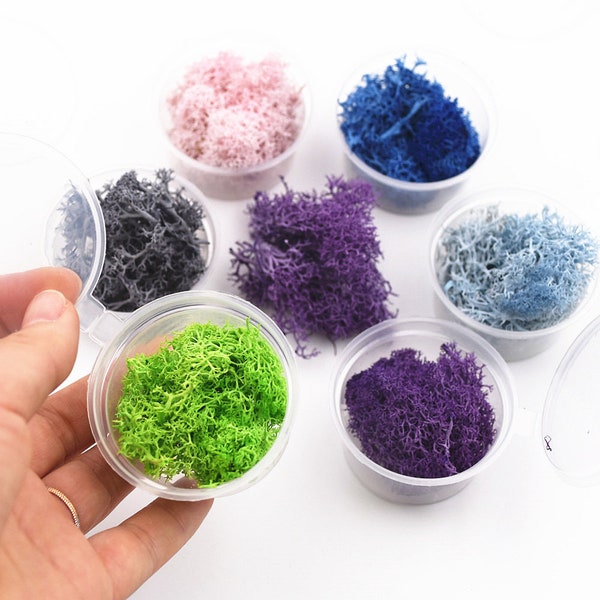 2-2.5grams Natural moss microlandschaft filler for glass globe silicone mold DIY jewelry making craft materia Resin casting filler