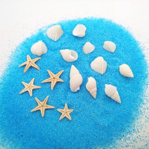 40X per bag natural sea snail starfish seashells scallops,native Marine shellfish Suitable for filled in the glass vial glass globe