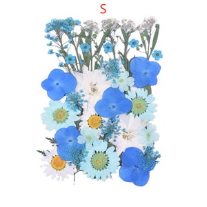 Puede incluir: Una colecci&oacute;n de flores prensadas en tonos azules y blancos. Las flores incluyen margaritas, hortensias y otras peque&ntilde;as flores silvestres.