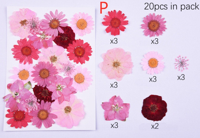 Puede incluir: Una colecci&oacute;n de 20 flores prensadas en varios tonos de rosa y rojo. Las flores est&aacute;n dispuestas en filas con la cantidad de cada tipo que se indica debajo. 20 piezas en el paquete.