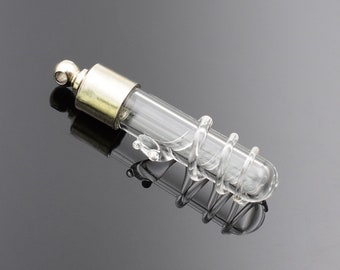 Frasco de vidrio con forma de serpiente 3D con aros tóricos, colgante de frasco de vidrio, tapón de rosca, nombre en botellas de arroz, botella de los deseos, dijes únicos