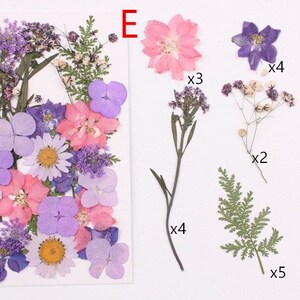 May include: Assortment of pressed flowers and leaves in shades of purple, pink, and green.  The flowers include daisies, hydrangeas, and a single pink flower labeled "E".