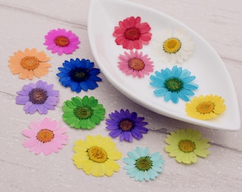 May include: Assortment of pressed flowers in various colors, including pink, blue, green, yellow, and purple. The flowers are arranged on a white plate and a light wood surface.
